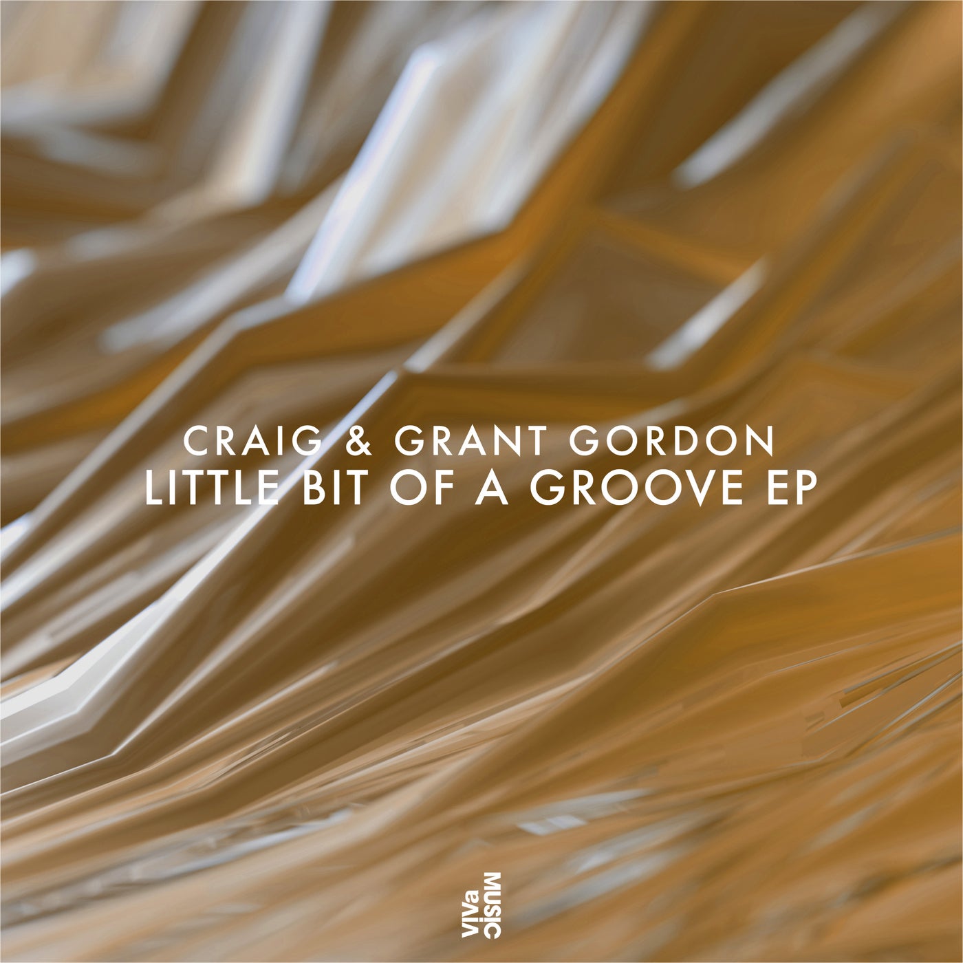 Craig & Grant Gordon - Little Bit Of A Groove EP [VIVA181]